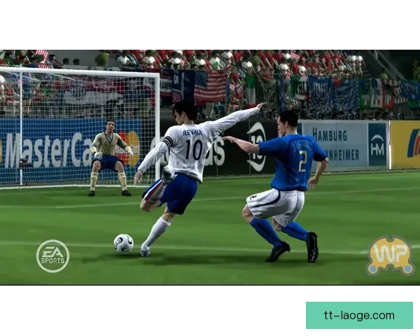 温哥华赛区将为世界杯更换符合FIFA标准的顶级草坪
